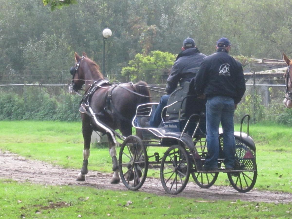 Hotel De Watermolen Bocholt Zewnętrze zdjęcie