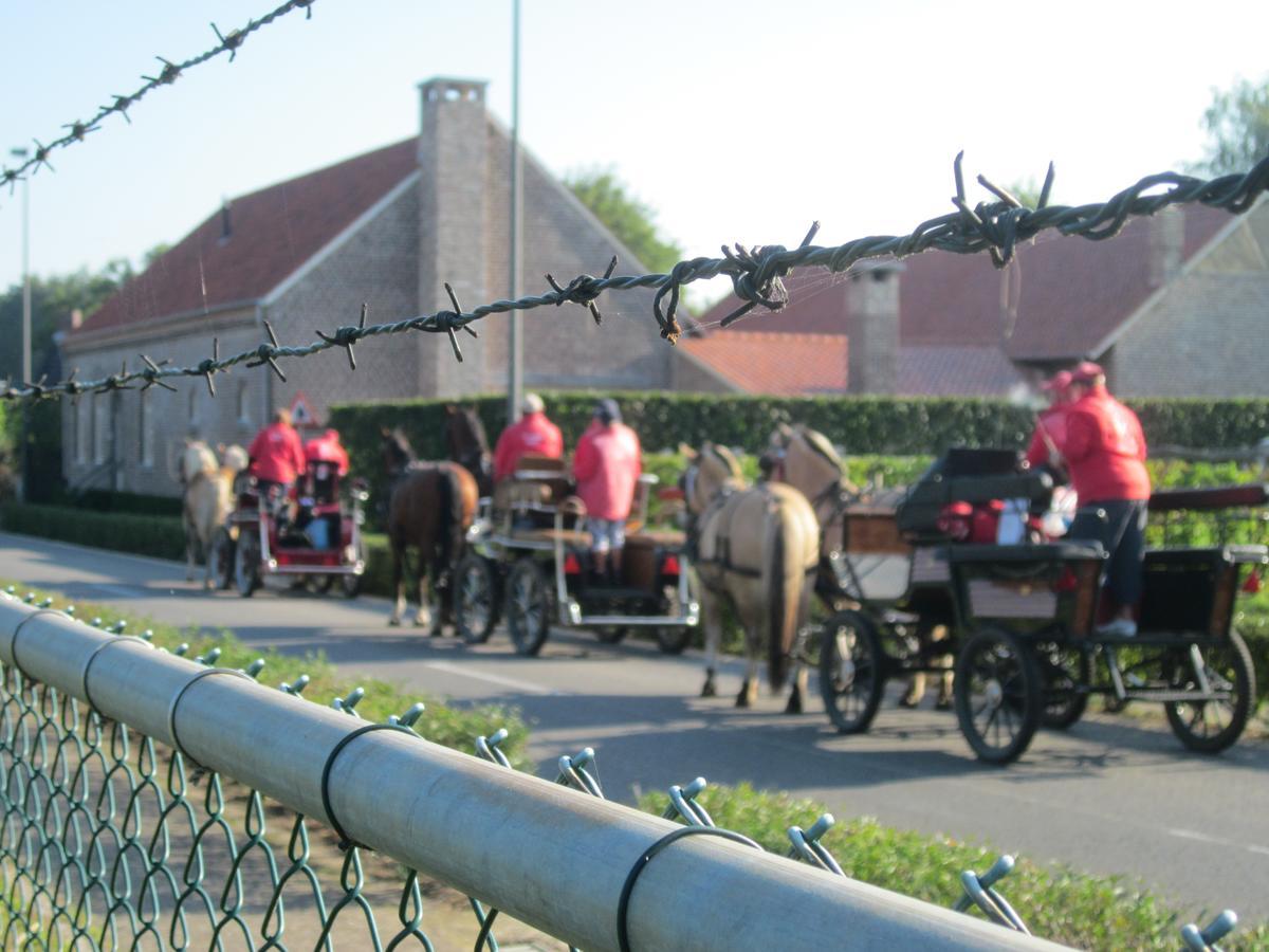 Hotel De Watermolen Bocholt Zewnętrze zdjęcie